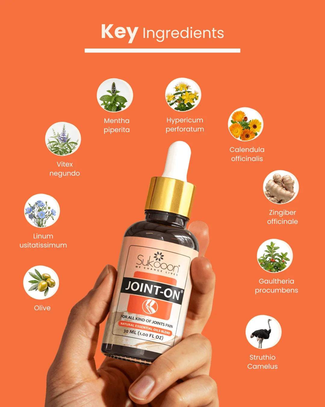 JOINT-ON Essential Oil Blend by Sukooon